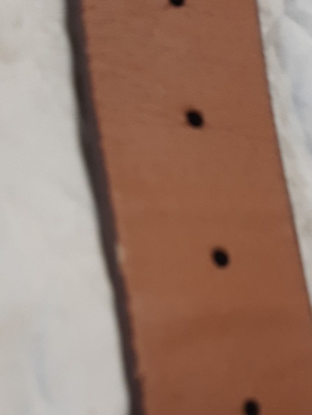 Leopard Print Belt - Picture 6 of 6